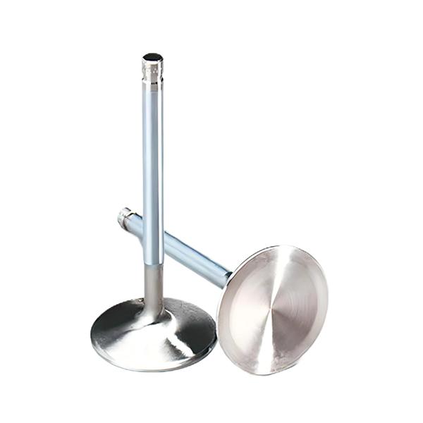 Intake & Exhaust Valve